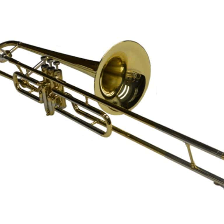 Schiller American Heritage Bb Valve Trombone Gold Bass Trombone Valve Trombone